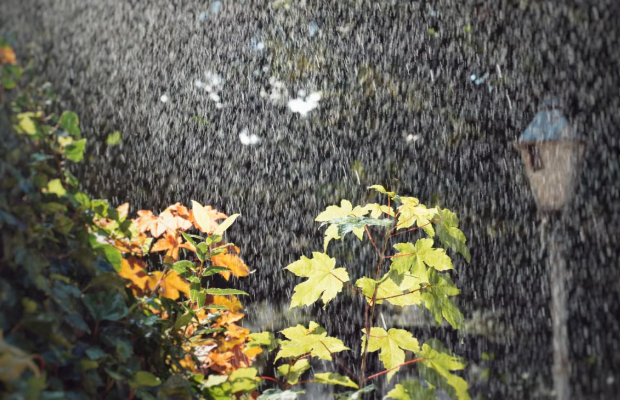 South Bengal Braces for More Rain From Tuesday